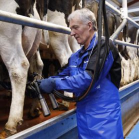 Billy O' Connor, Knockeen, Castleisland, Co. Kerry.